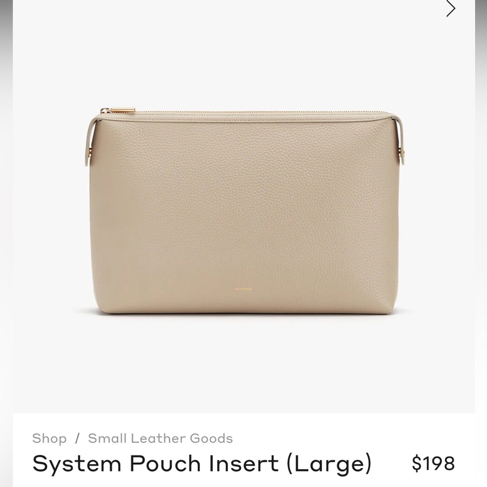 Cuyana stone system pouch insert large